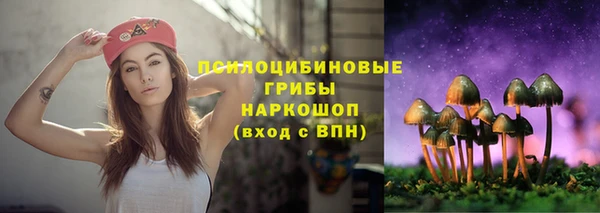 прущая мука Армянск